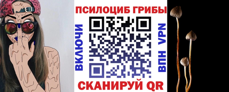 Галлюциногенные грибы GOLDEN TEACHER Шимановск